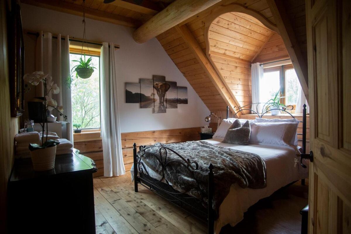 Hebergement "La Maison En Bois Rond" Sainte-Marie Oda fotoğraf